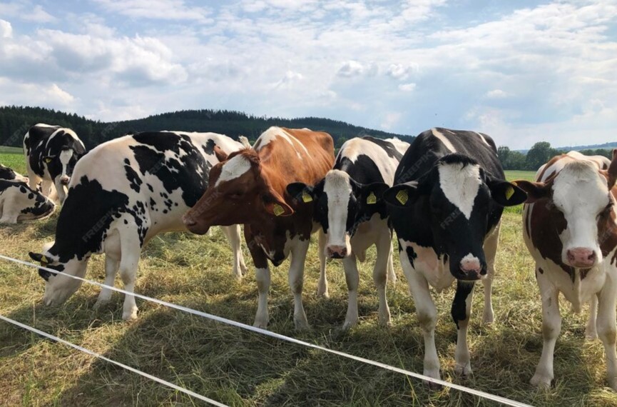 Best Way to Do Eco and Agriculture